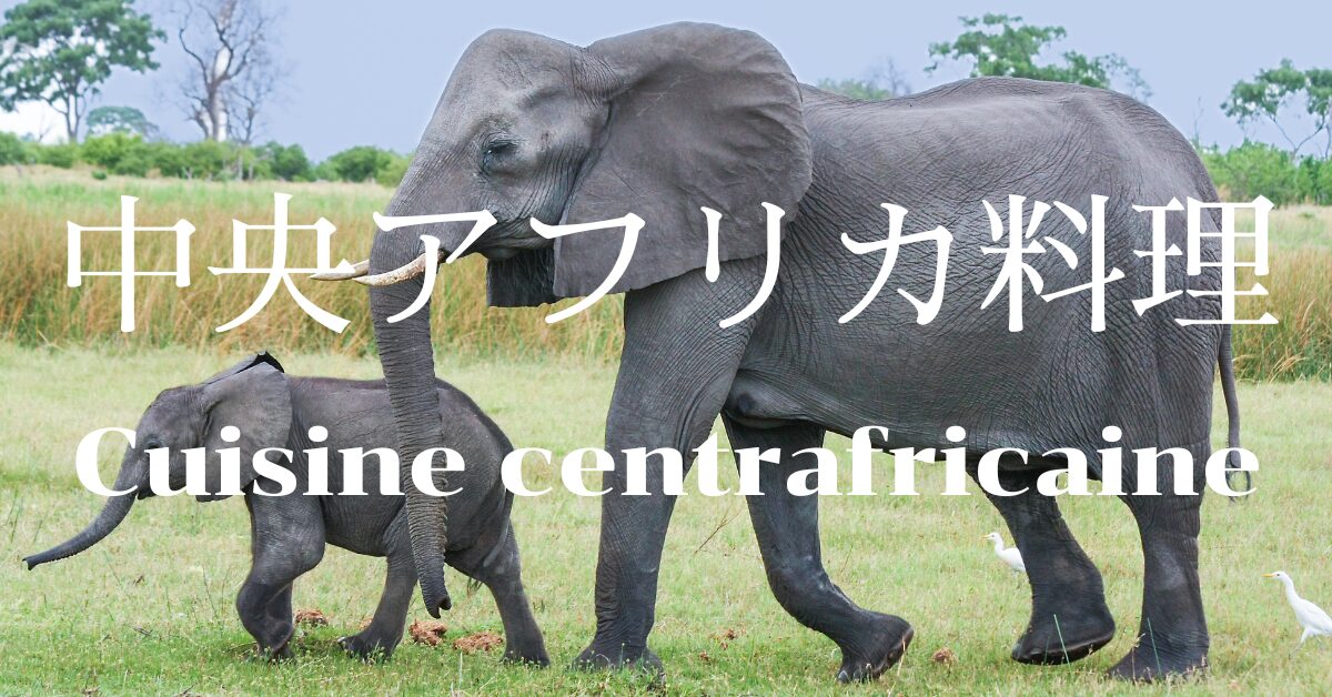 中央アフリカ料理一覧