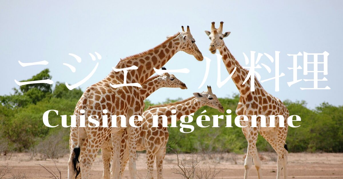 ニジェール料理一覧