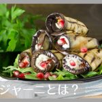 バドリジャーニとは